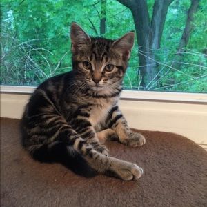 Meet your Posher, Doris